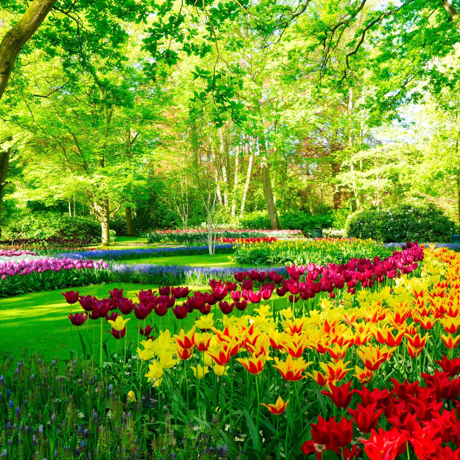 Fruit Garden & Flower Garden
