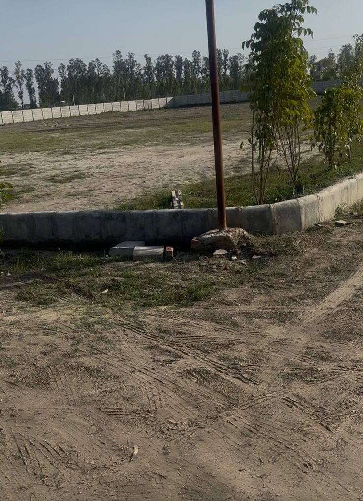 WhatsApp Image 2026-04-03 at 12.49.06 PM